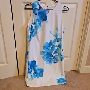 Calvin Klein White Dress with Blue Detail